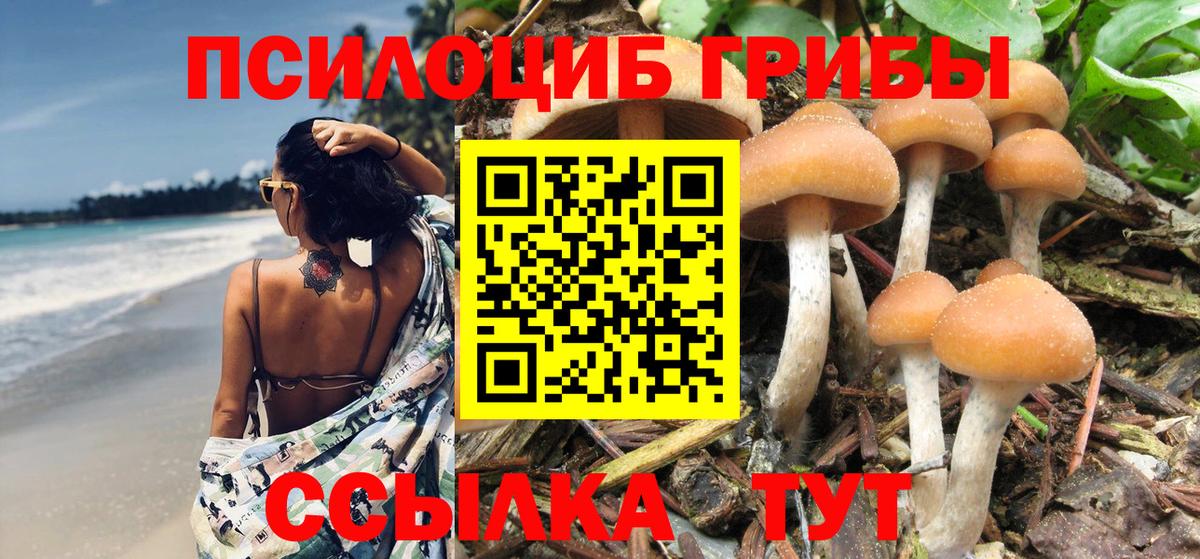 Джанкой  Псилоцибиновые грибы Magic Shrooms  Вход с VPN  Галлюциногенные грибы мицелий 